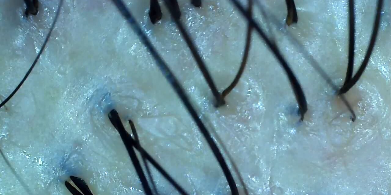 4BE5946C-2DD0-4306-B5E1-D2CB5B934247