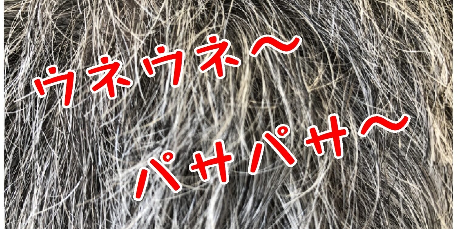 ウネウネ2